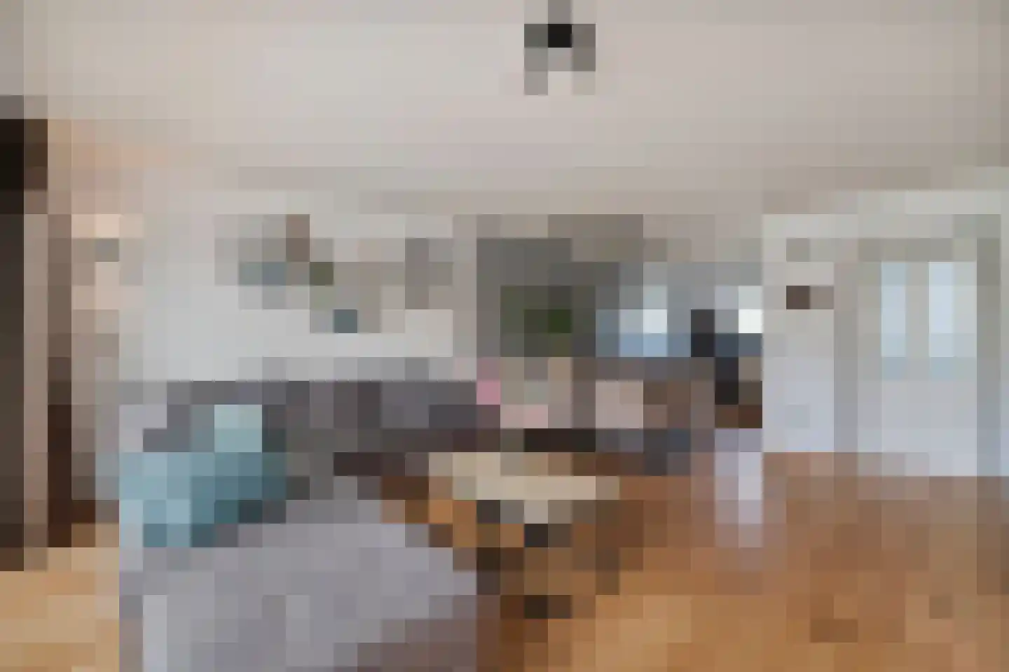 Kaapfeugel 44 Hippolytushoef thumbnail 10