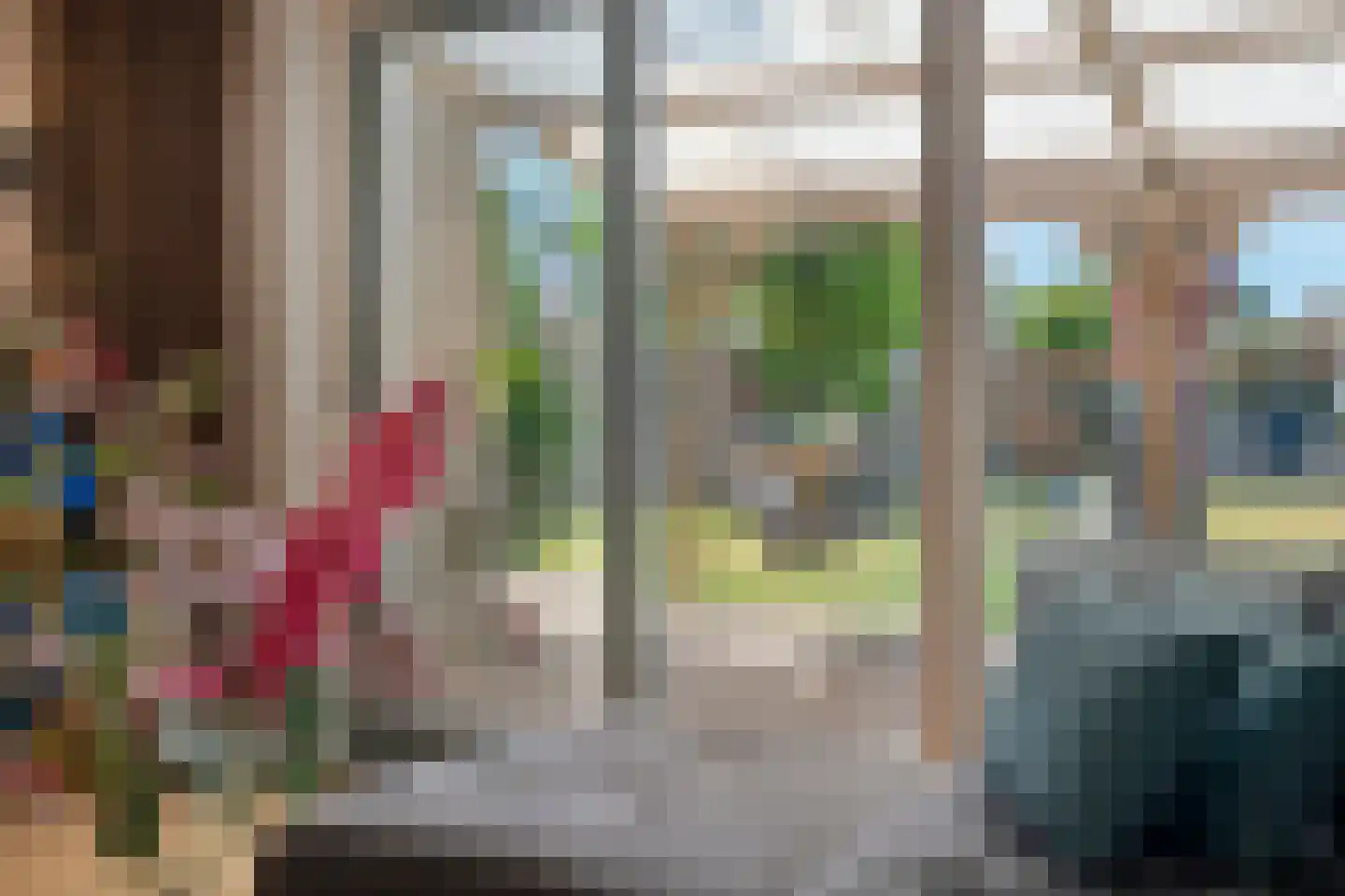 Kaapfeugel 44 Hippolytushoef thumbnail 12