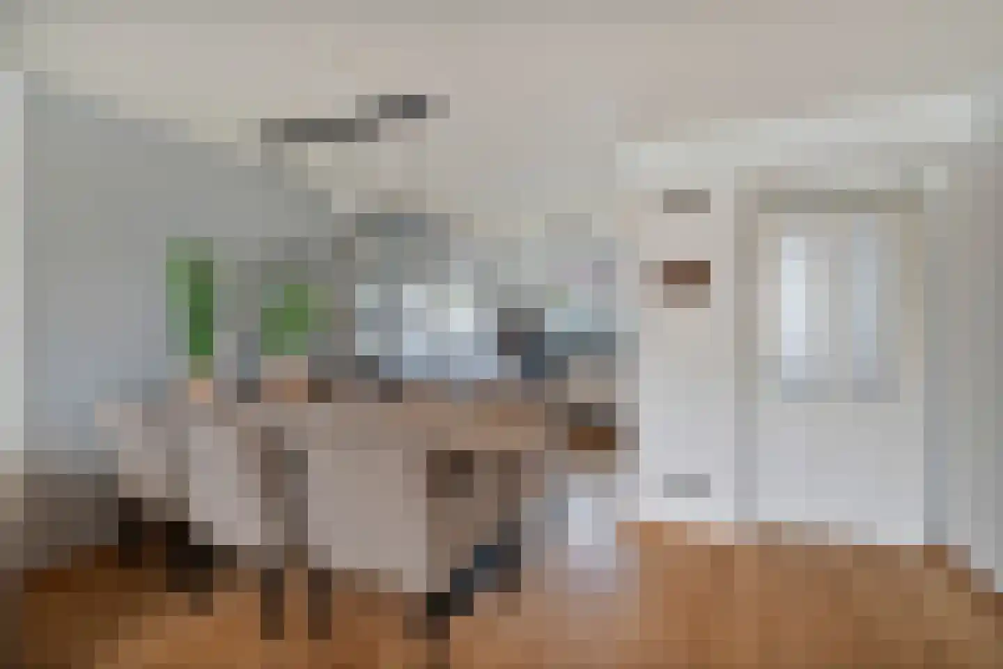 Kaapfeugel 44 Hippolytushoef thumbnail 15