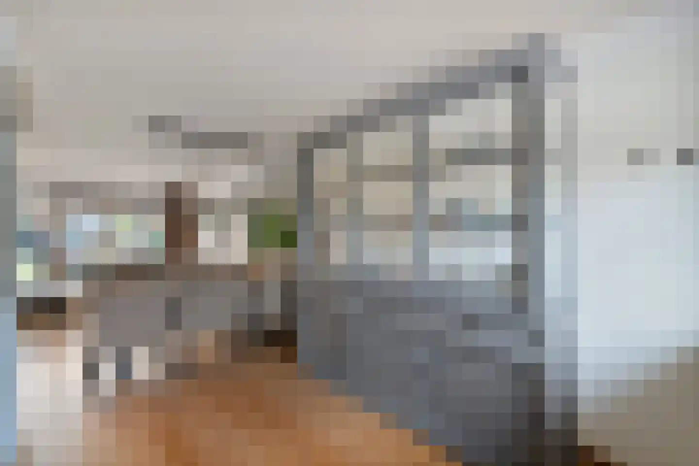 Kaapfeugel 44 Hippolytushoef thumbnail 16