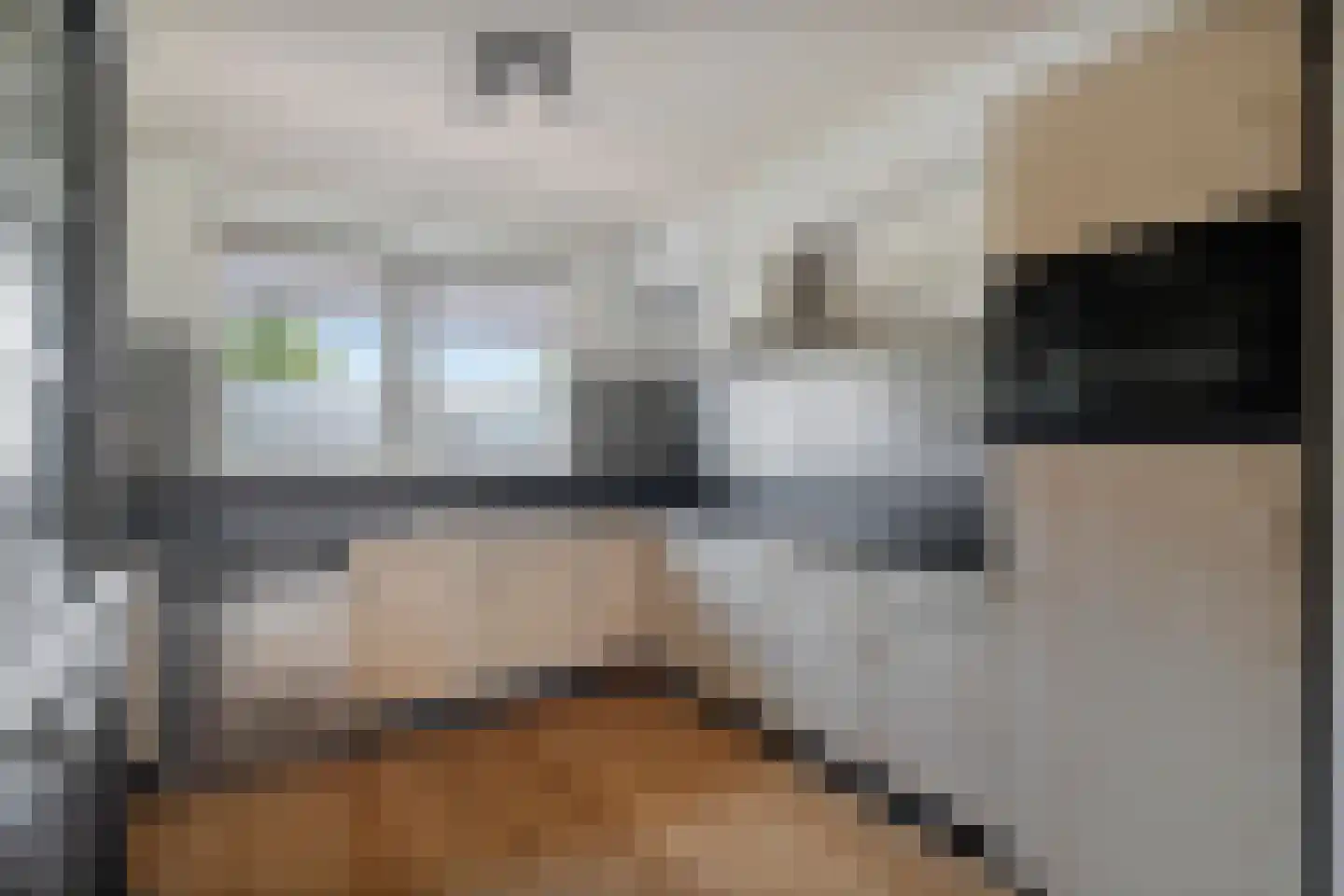 Kaapfeugel 44 Hippolytushoef thumbnail 17