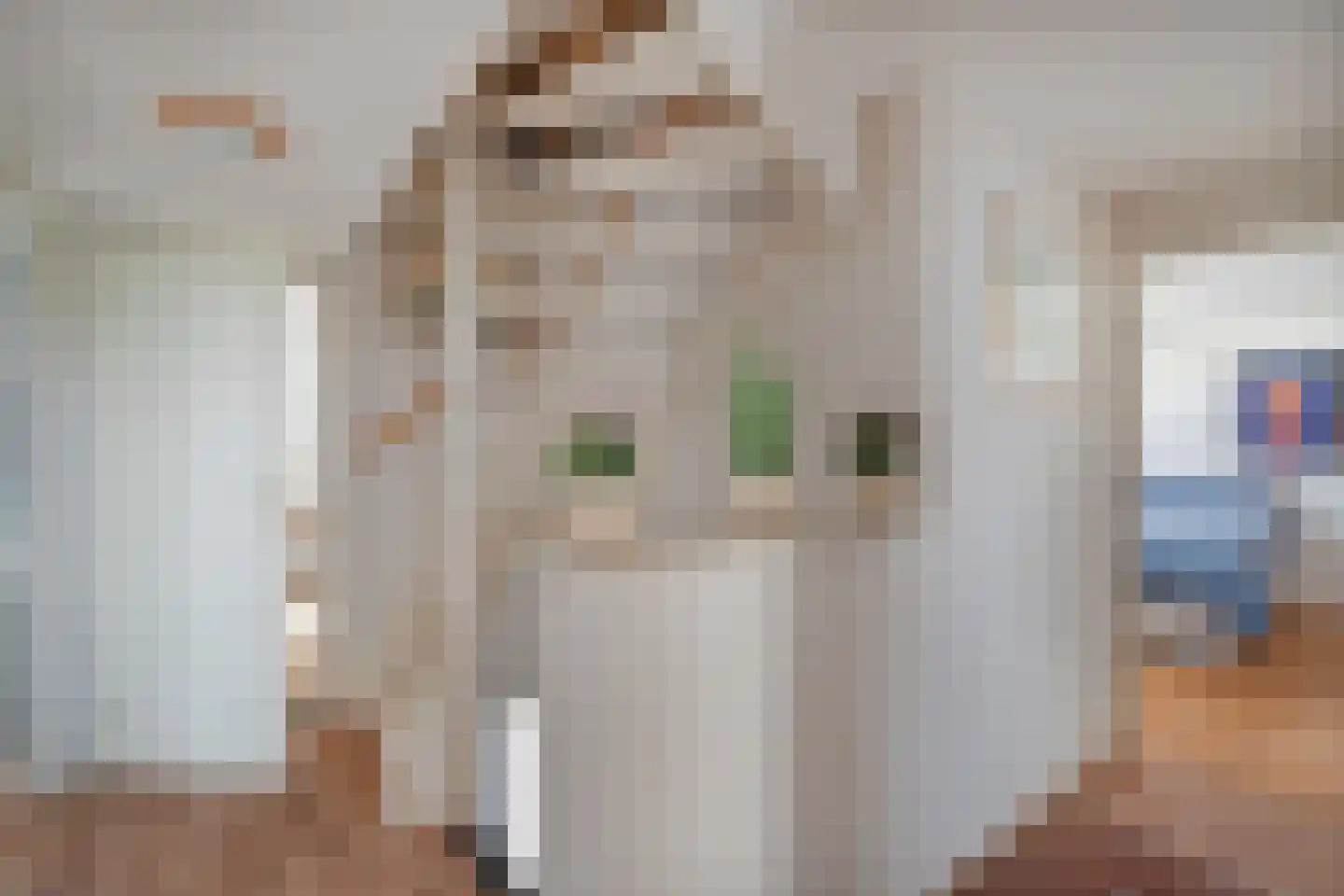 Kaapfeugel 44 Hippolytushoef thumbnail 19