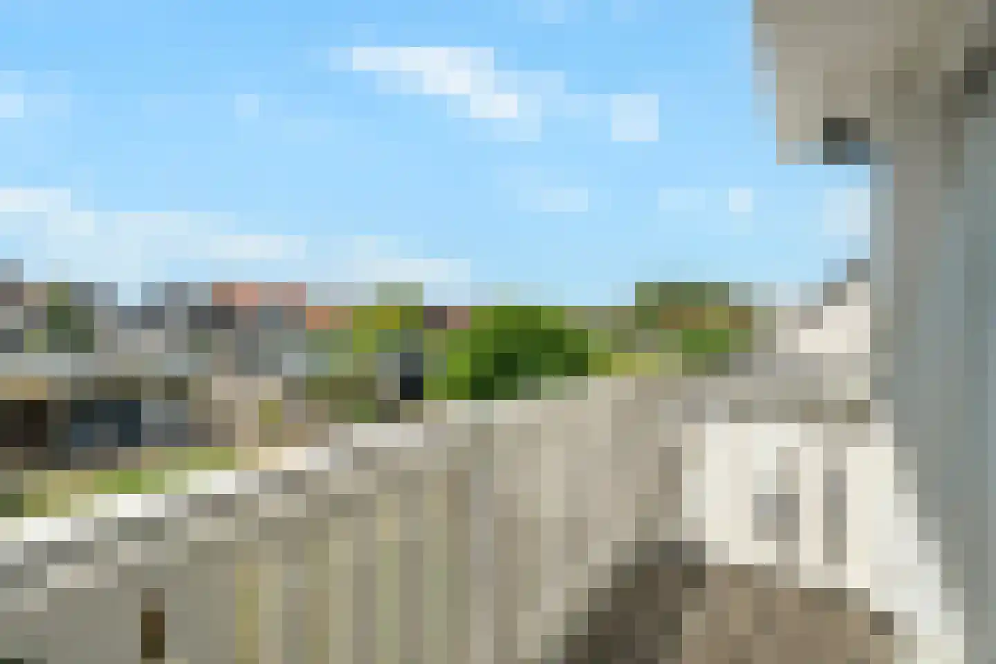 Kaapfeugel 44 Hippolytushoef thumbnail 28