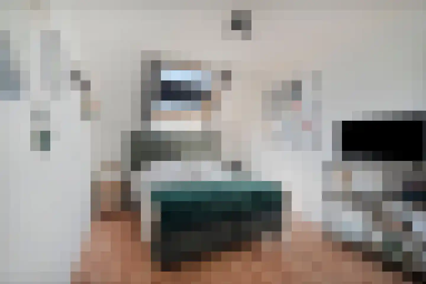 Kaapfeugel 44 Hippolytushoef thumbnail 31