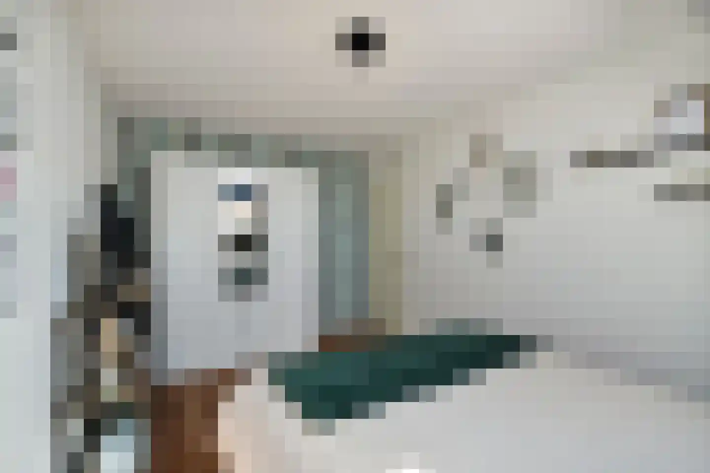 Kaapfeugel 44 Hippolytushoef thumbnail 32