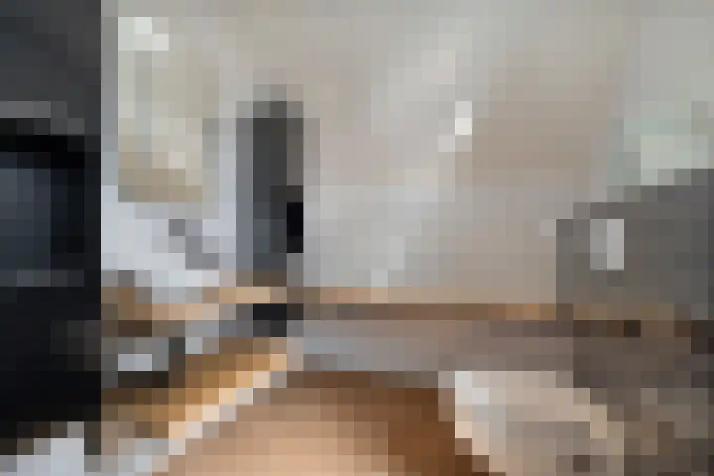 Kaapfeugel 44 Hippolytushoef thumbnail 35