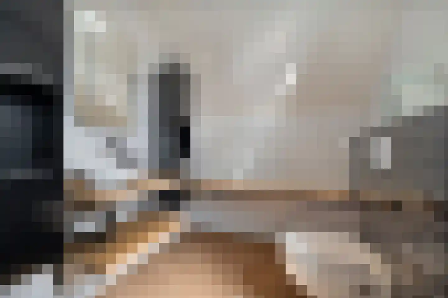 Kaapfeugel 44 Hippolytushoef thumbnail 4