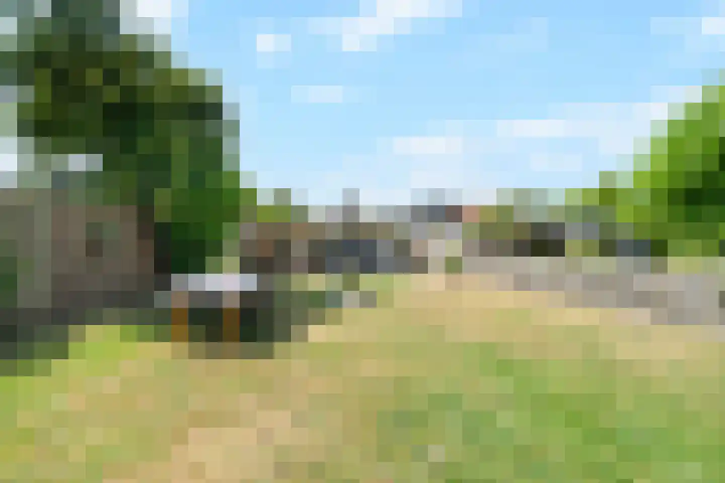 Kaapfeugel 44 Hippolytushoef thumbnail 41