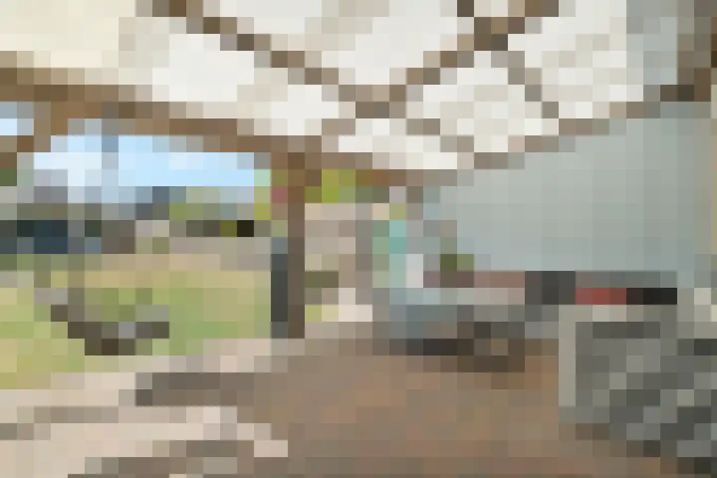 Kaapfeugel 44 Hippolytushoef thumbnail 43