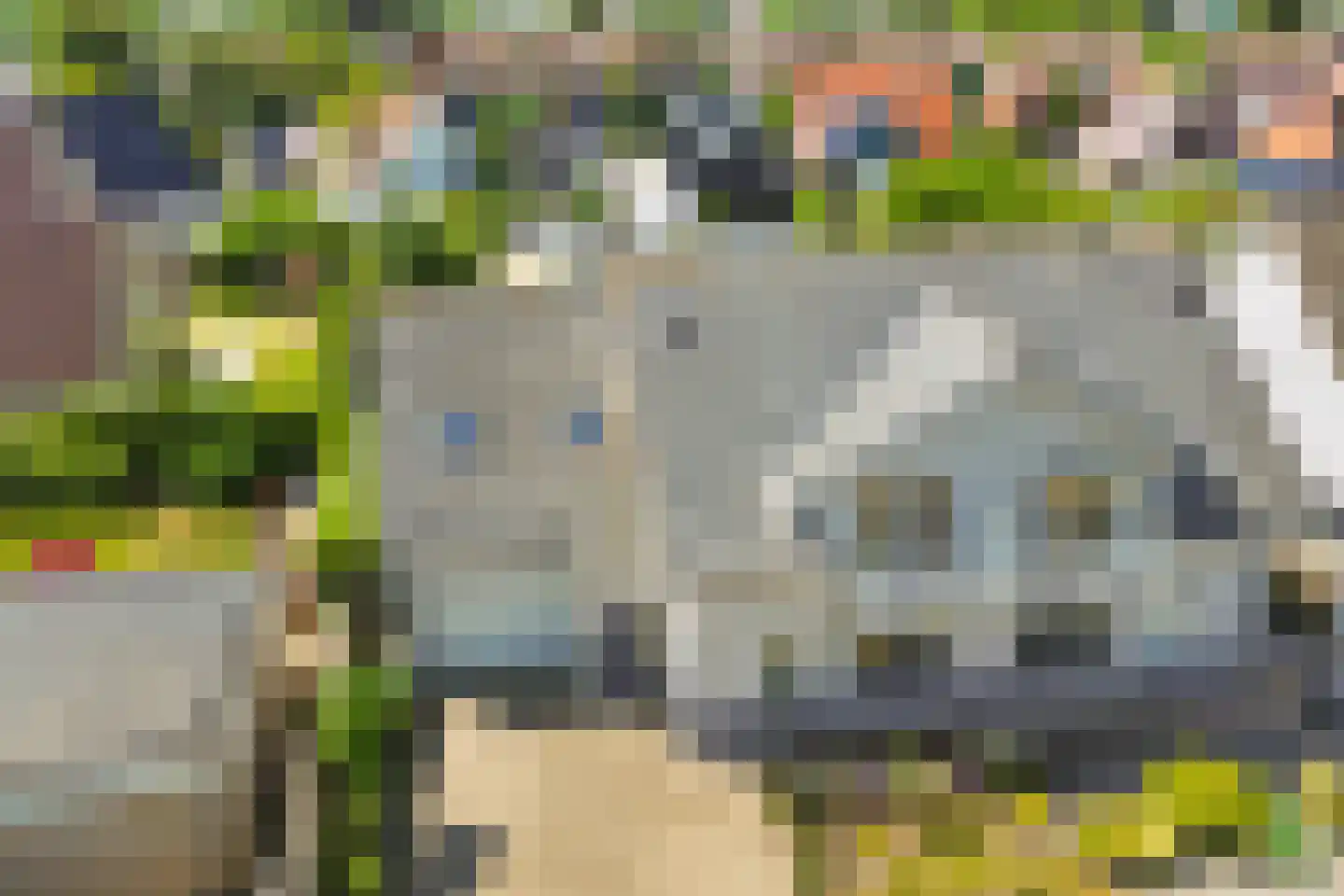 Kaapfeugel 44 Hippolytushoef thumbnail 47