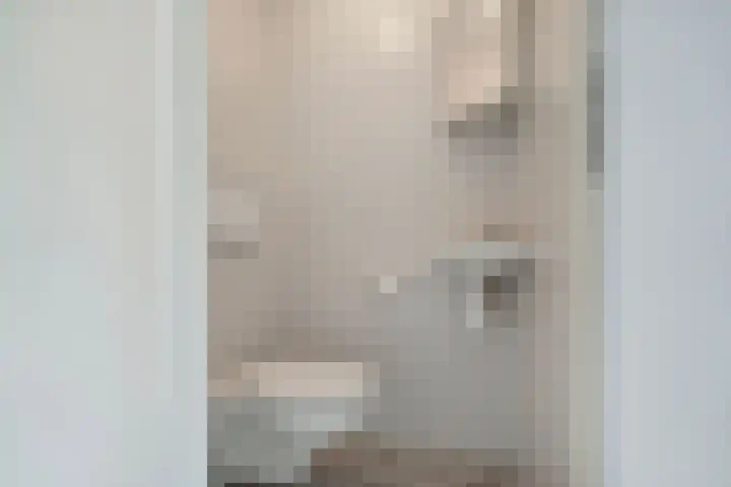 Kaapfeugel 44 Hippolytushoef thumbnail 7