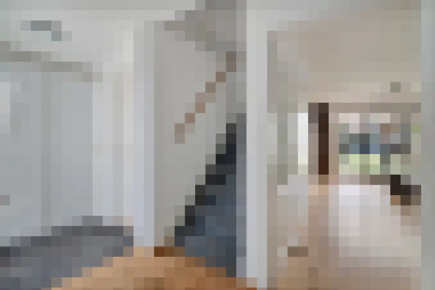Kaapfeugel 44 Hippolytushoef thumbnail 8