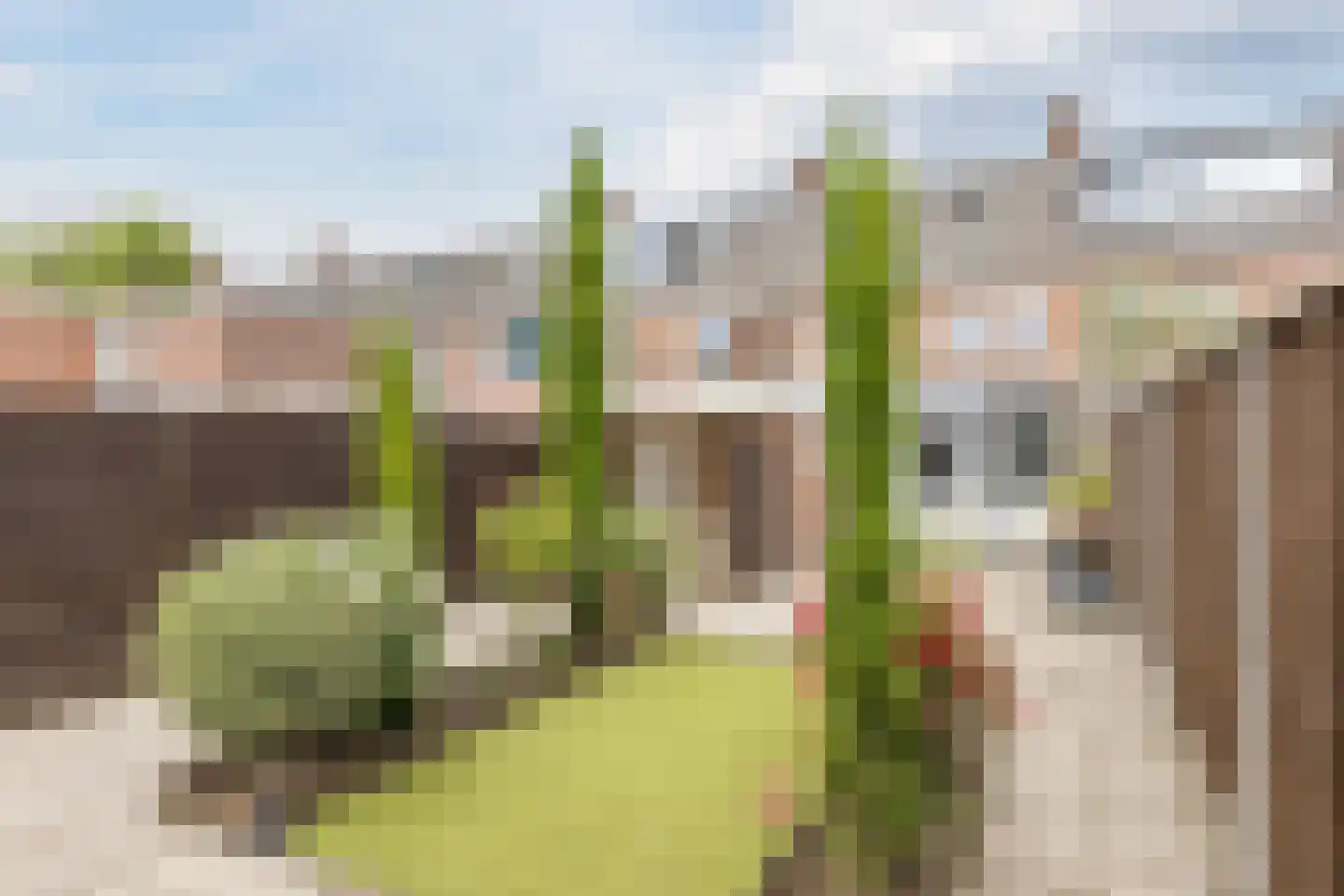 Kaapkoloniestraat 35 Tilburg