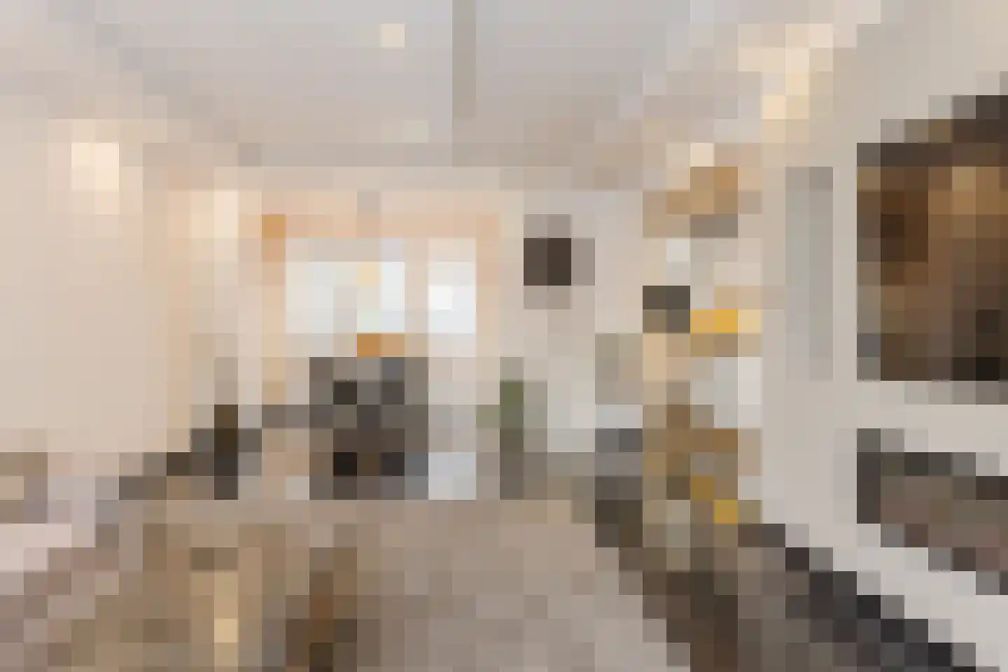 Kaapkoloniestraat 35 Tilburg thumbnail 4