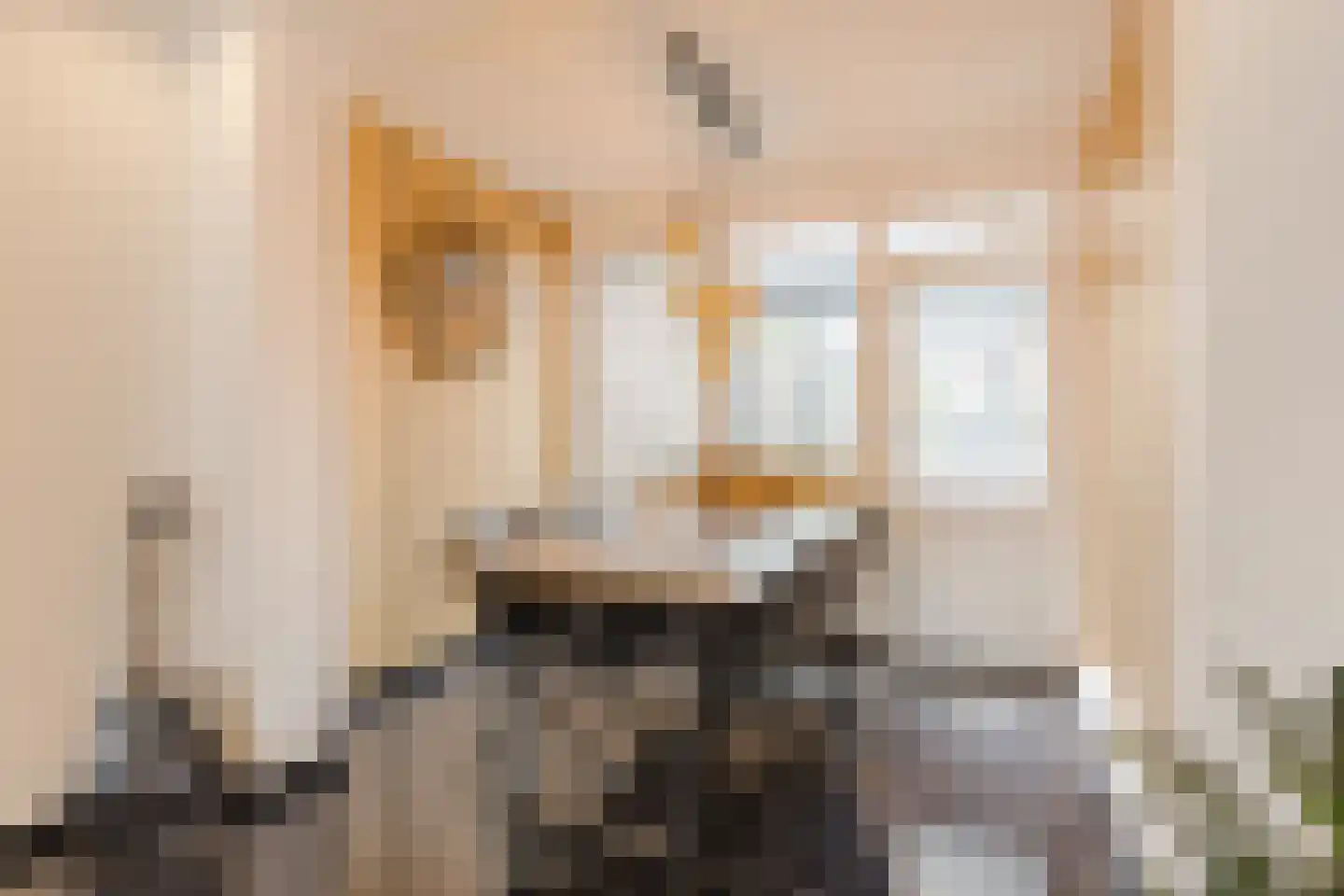 Kaapkoloniestraat 35 Tilburg thumbnail 6