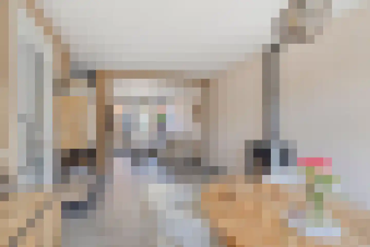 Kaapkoloniestraat 51 Tilburg thumbnail 11