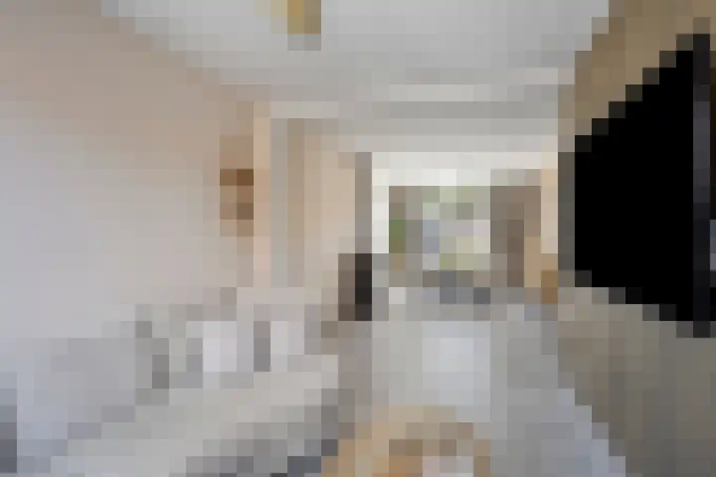 Kaapkoloniestraat 51 Tilburg thumbnail 13