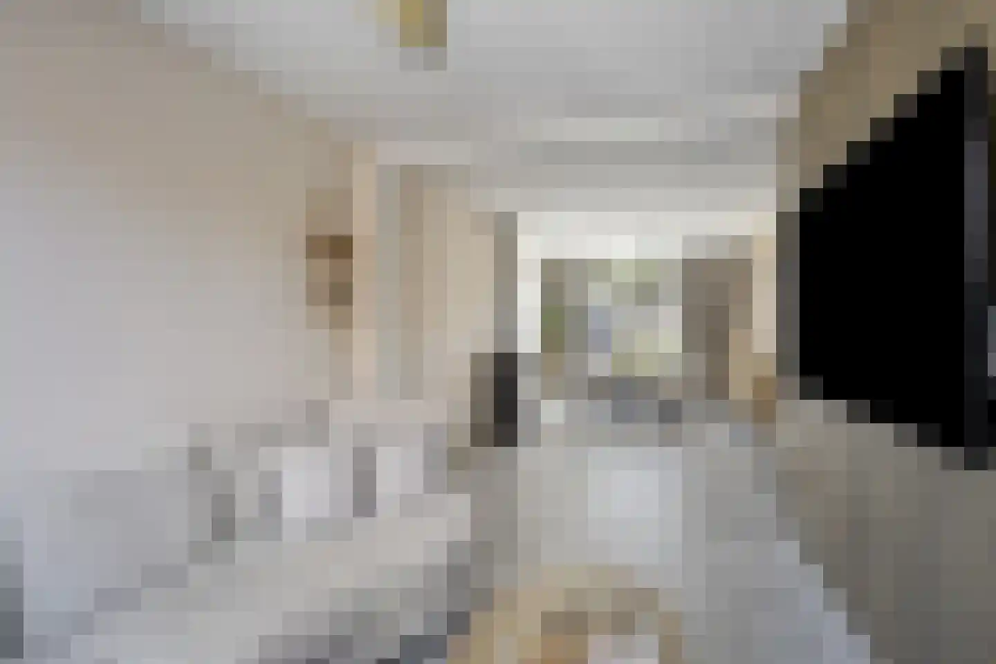 Kaapkoloniestraat 51 Tilburg thumbnail 14