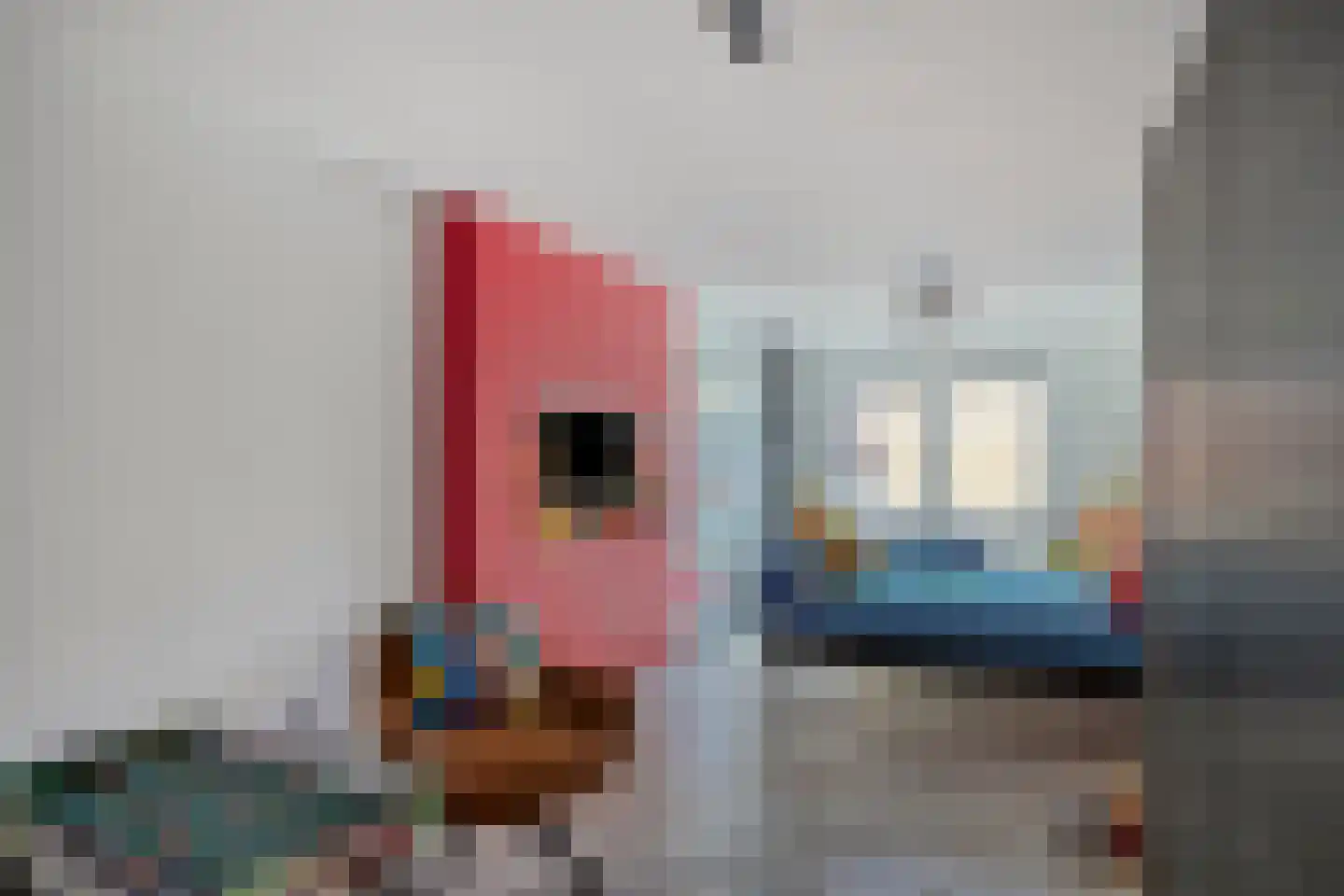 Kaapkoloniestraat 51 Tilburg thumbnail 35