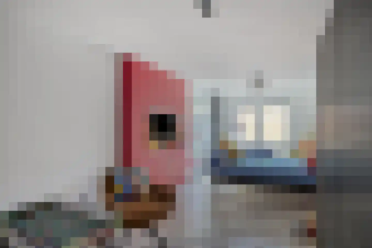 Kaapkoloniestraat 51 Tilburg thumbnail 36