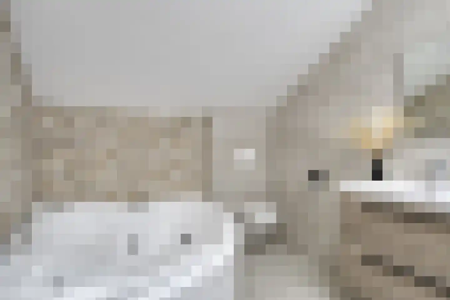Kaapkoloniestraat 51 Tilburg thumbnail 4