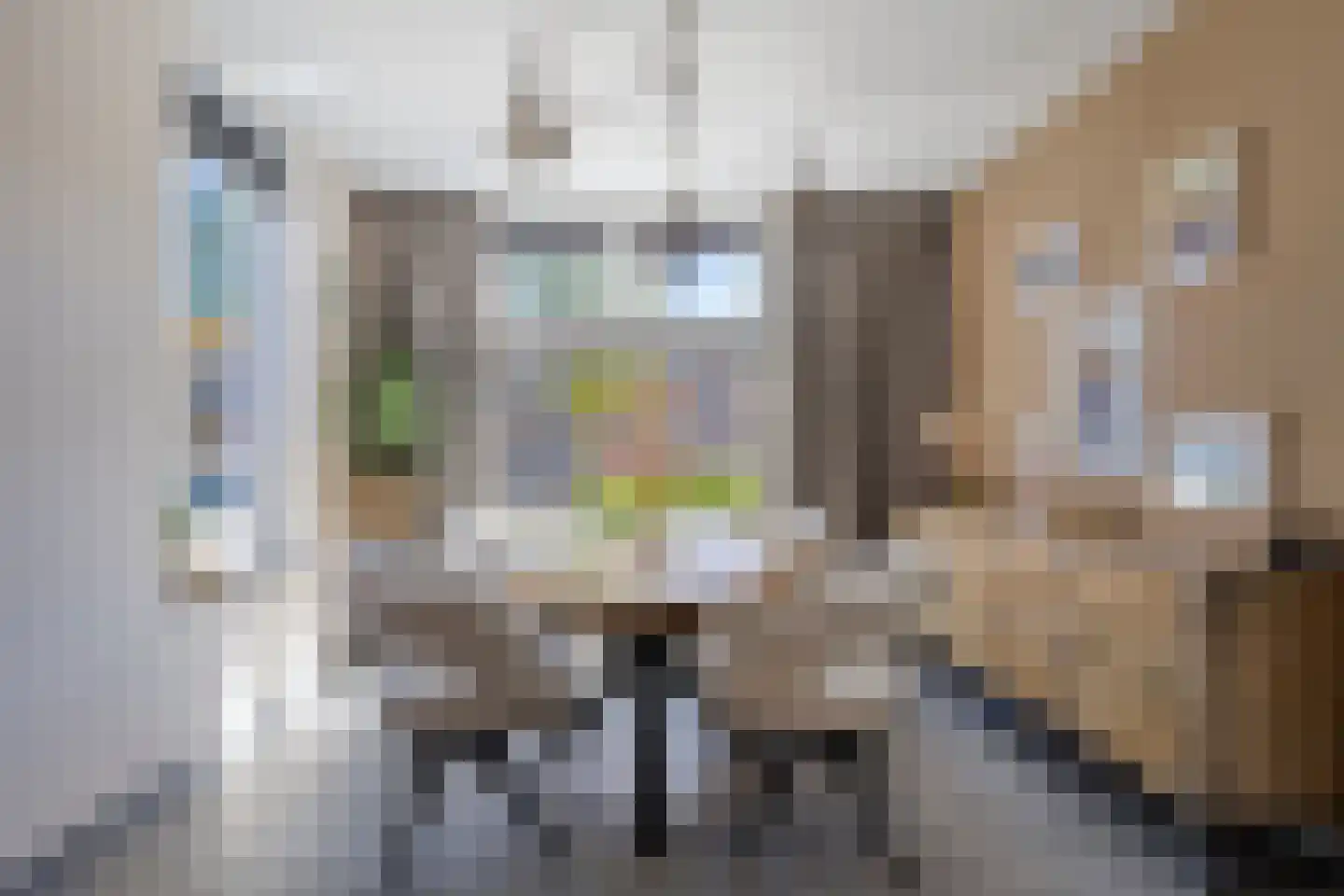 Kaapkoloniestraat 51 Tilburg thumbnail 8