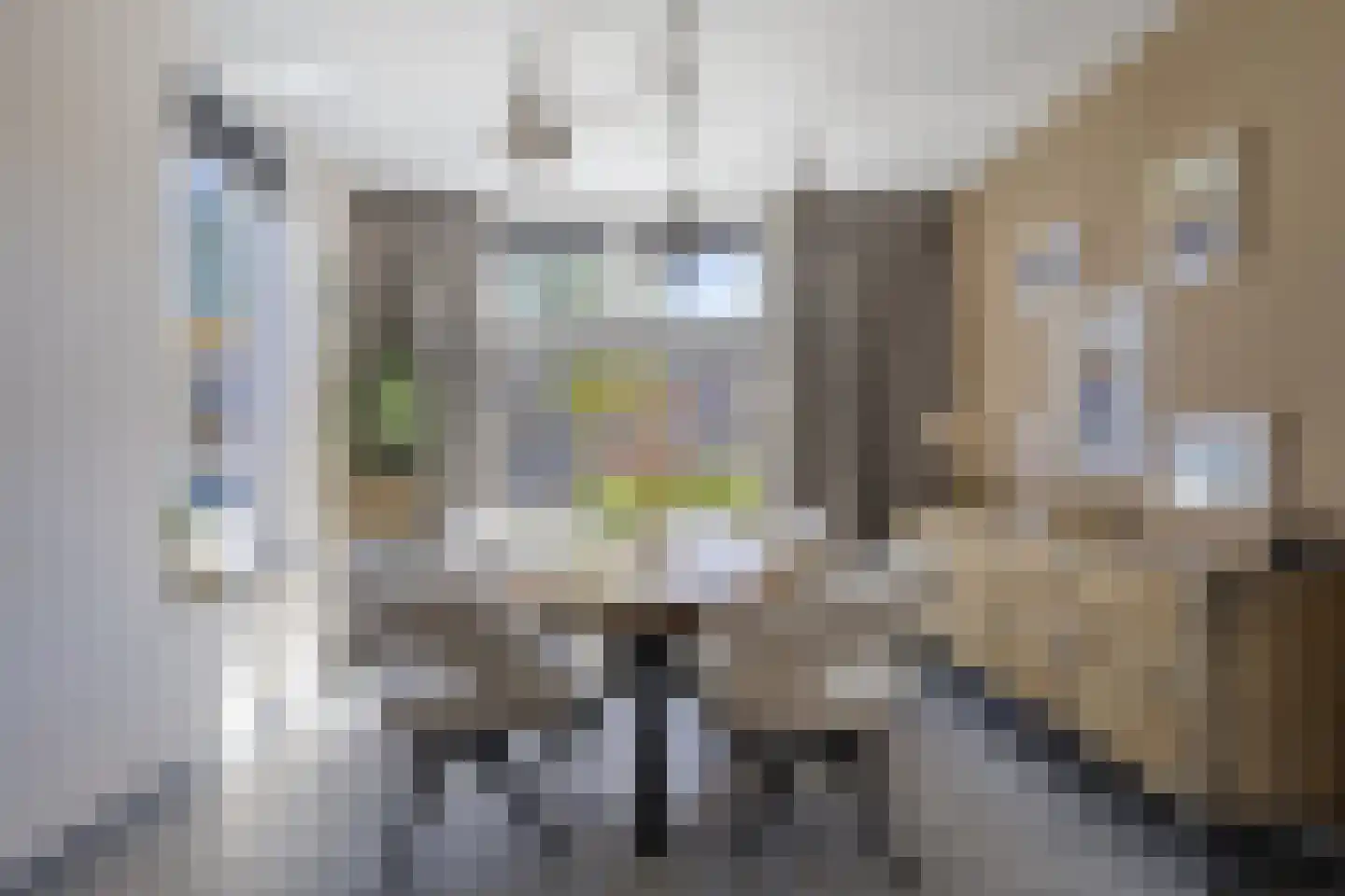 Kaapkoloniestraat 51 Tilburg thumbnail 9