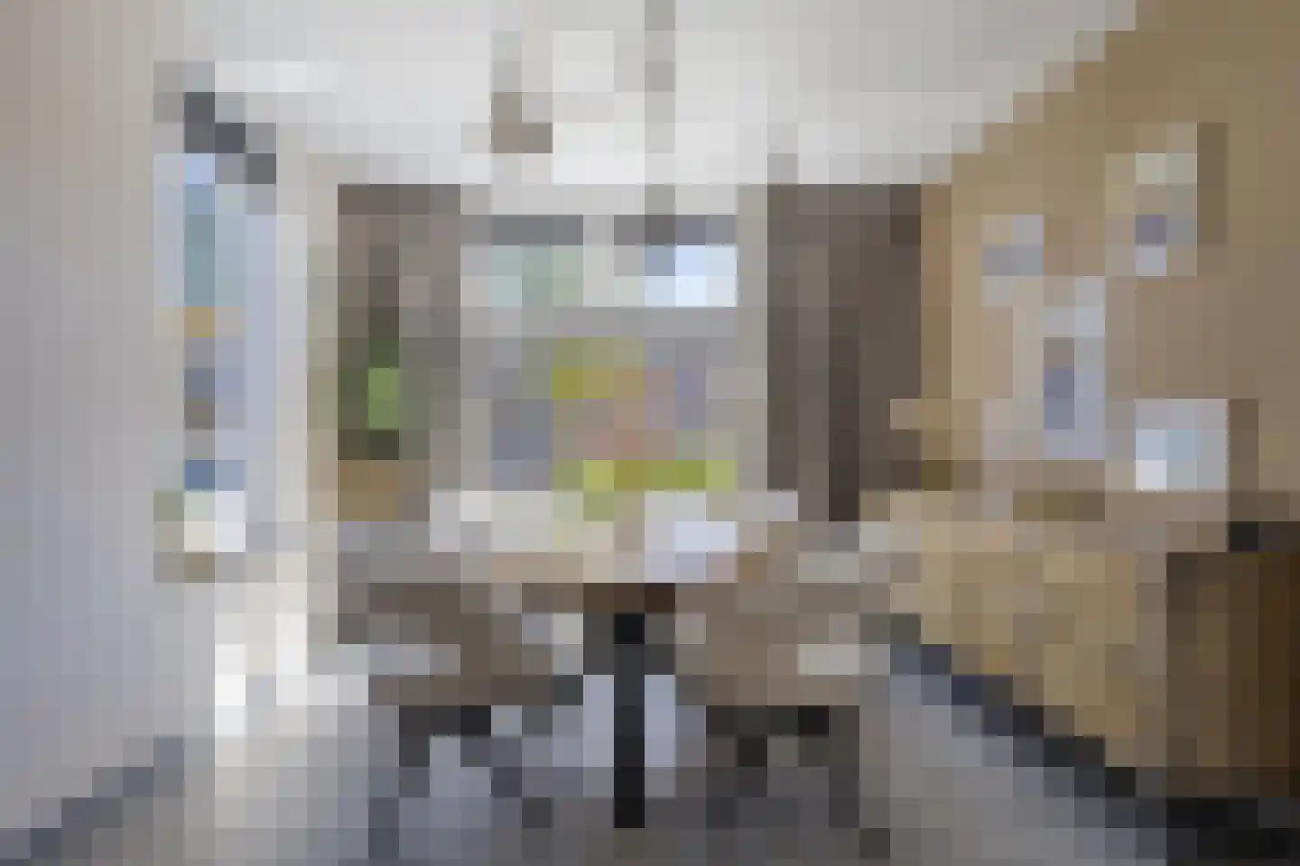 Kaapkoloniestraat 51 Tilburg thumbnail 9