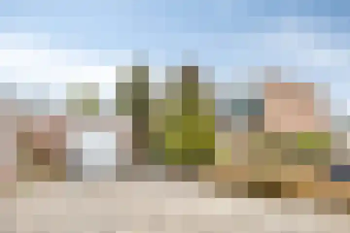 Kaaplandstraat 25 Nijmegen thumbnail 33