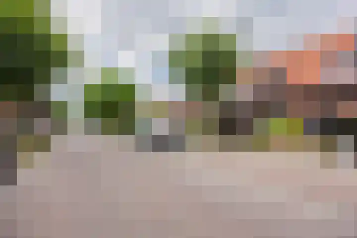 Kaaplandstraat 60 Nijmegen thumbnail 44