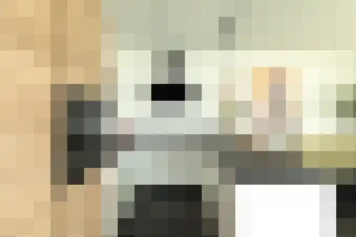 Kaapsduin 46 Zeewolde thumbnail 12