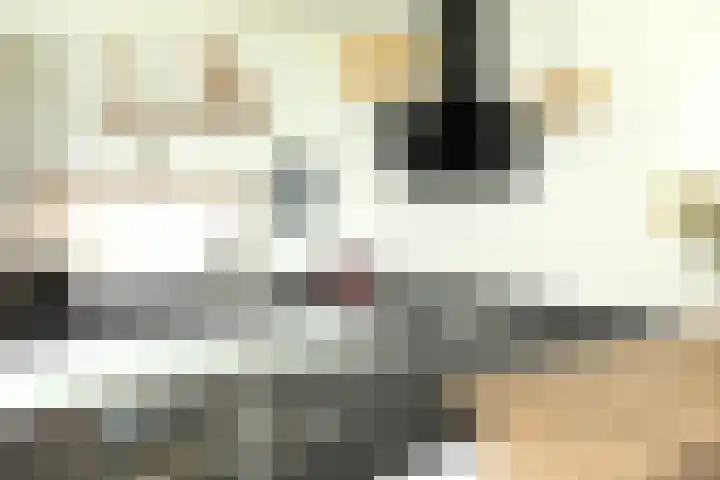 Kaapsduin 46 Zeewolde thumbnail 13