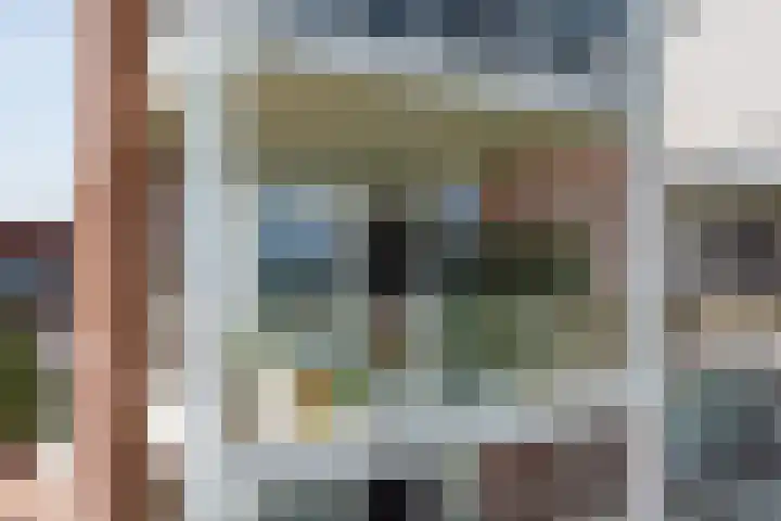 Kaapsduin 46 Zeewolde thumbnail 17