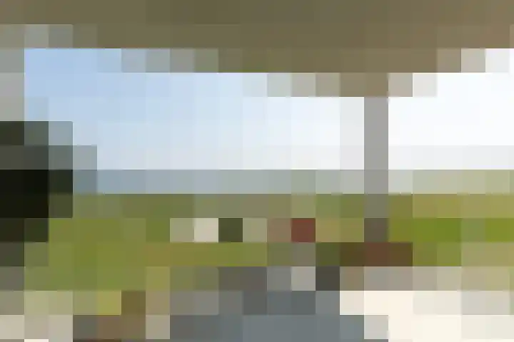 Kaapsduin 46 Zeewolde thumbnail 18