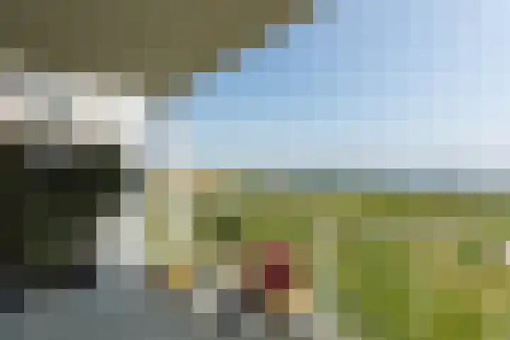 Kaapsduin 46 Zeewolde thumbnail 19