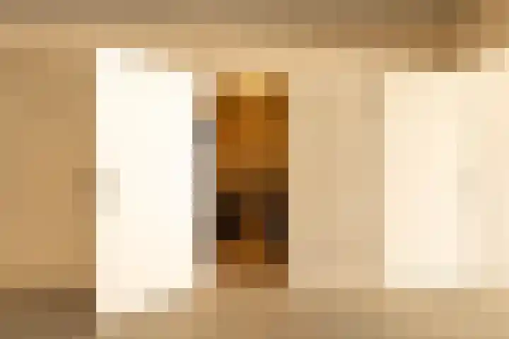 Kaapsduin 46 Zeewolde thumbnail 27