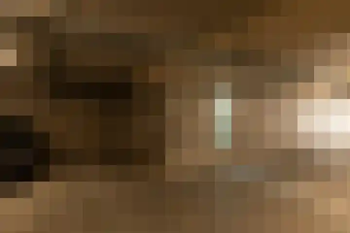 Kaapsduin 46 Zeewolde thumbnail 28