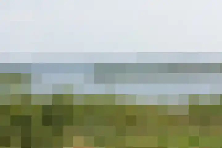 Kaapsduin 46 Zeewolde thumbnail 31