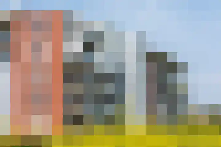 Kaapsduin 46 Zeewolde thumbnail 4