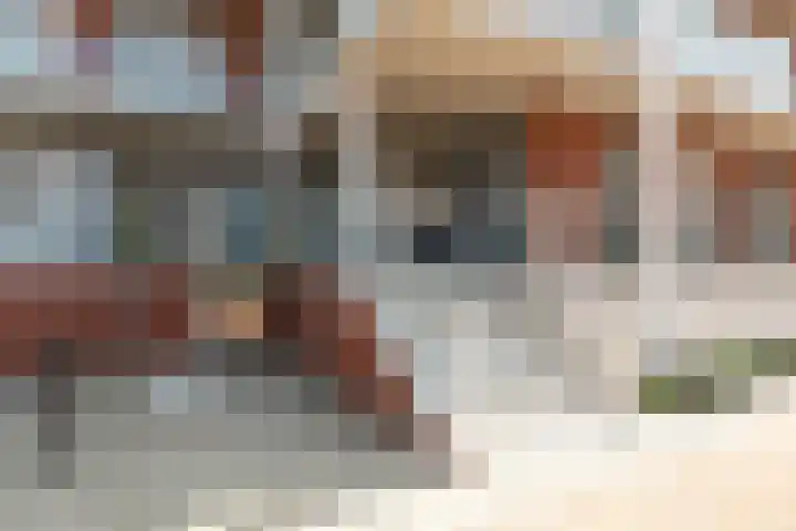 Kaapsduin 46 Zeewolde thumbnail 5