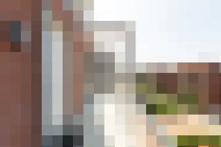 Kaapsduin 46 Zeewolde thumbnail 6