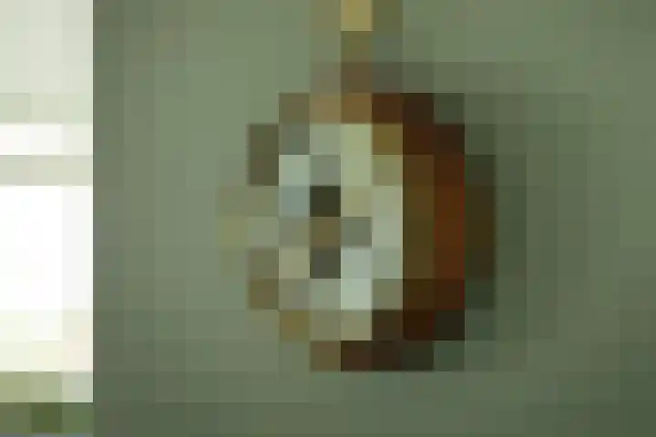 Kaapsduin 46 Zeewolde thumbnail 8