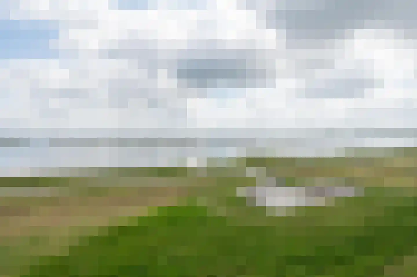 Kaapsduin 58 Zeewolde thumbnail 25