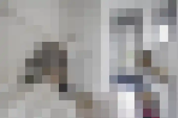 Kaapsduinhof 35 Zeewolde thumbnail 11
