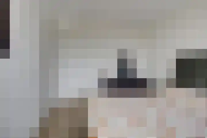 Kaapsduinhof 35 Zeewolde thumbnail 15
