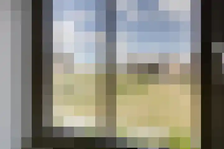 Kaapsduinhof 35 Zeewolde thumbnail 18