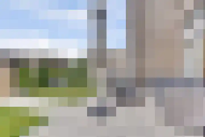 Kaapsduinhof 35 Zeewolde thumbnail 23