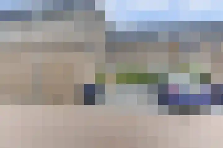 Kaapsduinhof 35 Zeewolde thumbnail 25