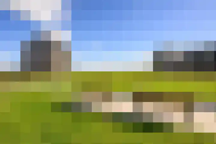 Kaapsduinhof 35 Zeewolde thumbnail 26