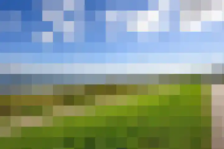 Kaapsduinhof 35 Zeewolde thumbnail 27